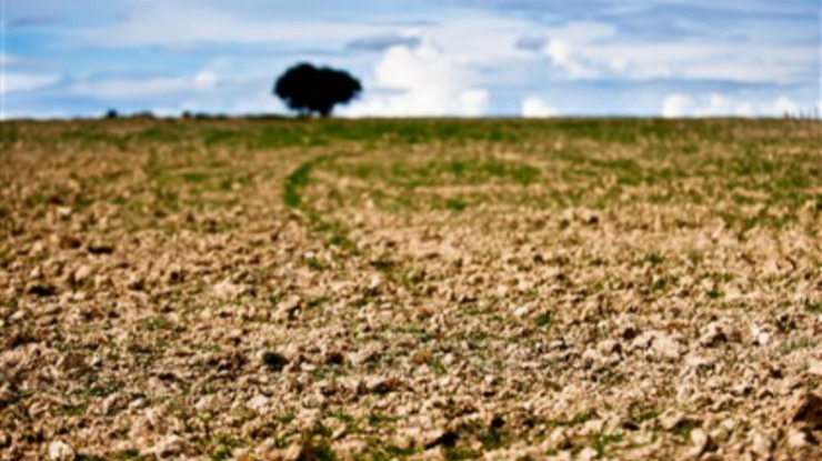 Seca: Agricultores de Portalegre “apreensivos” devido à falta de chuva
