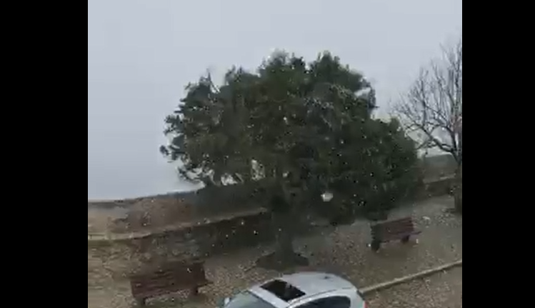 Neve Marvão