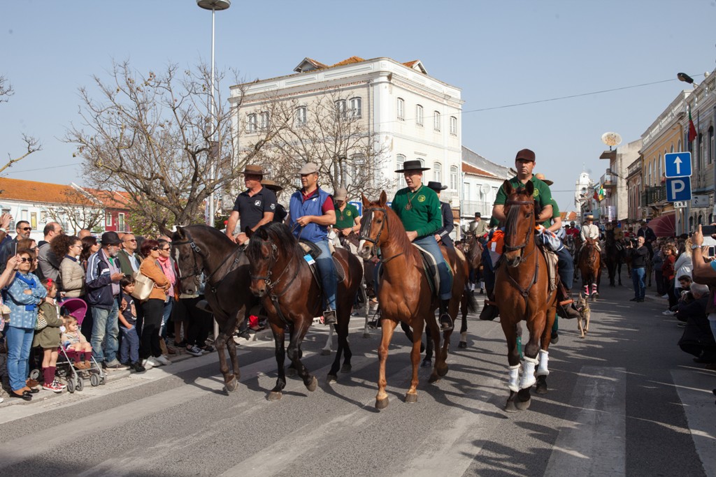 Romaria a cavalo