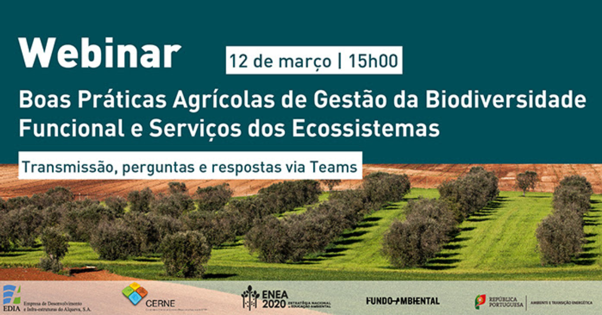 webinar da EDIA
