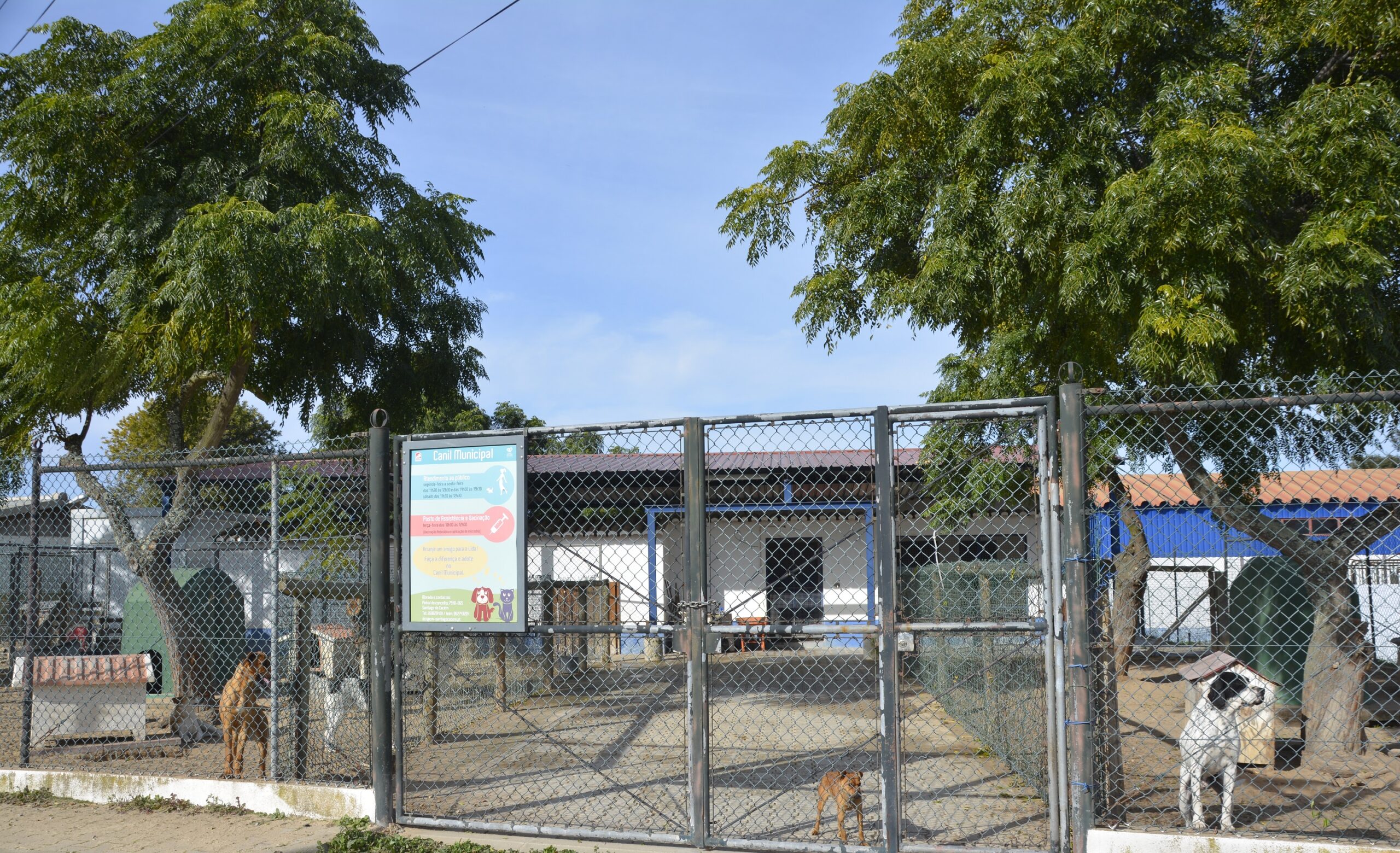Animais santiago do cacém