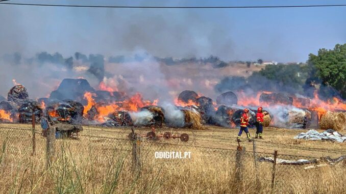 Incêndio destruiu dezenas de fardos de palha em Évora
