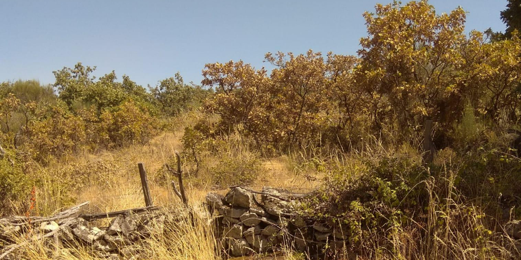 seca serra de são mamede