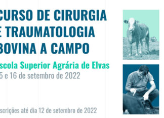 Elvas: Curso teórico-prático em cirurgia e traumatologia bovina em condições de campo curso em elvas
