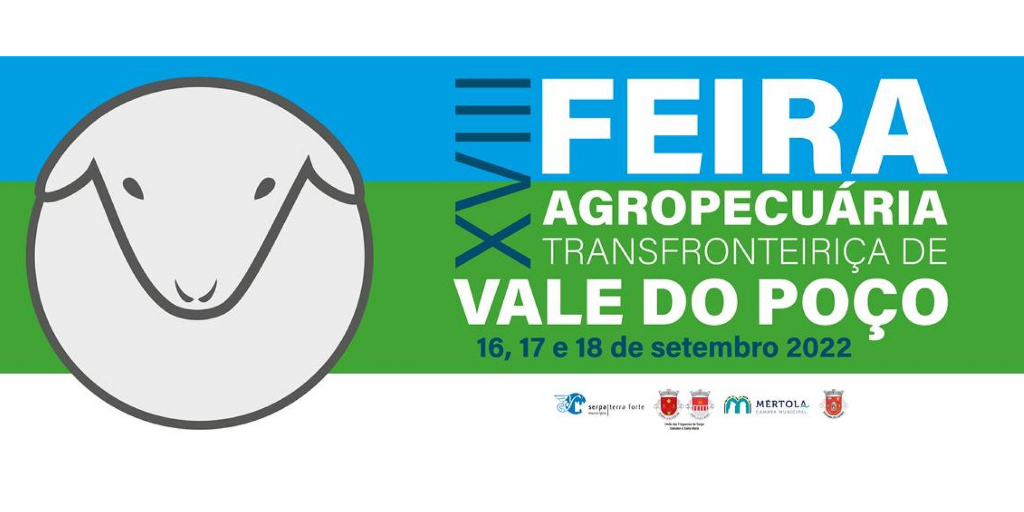 feira em vale do poço