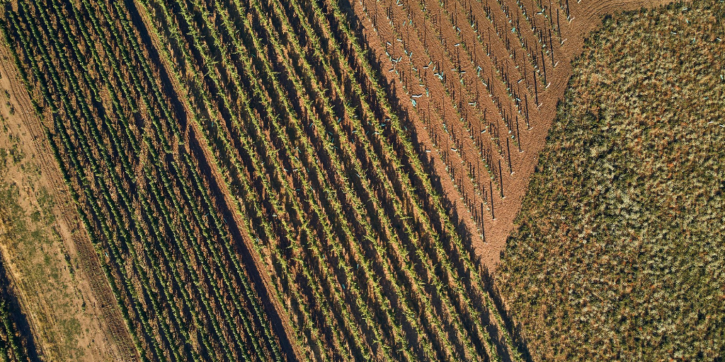 agricultura