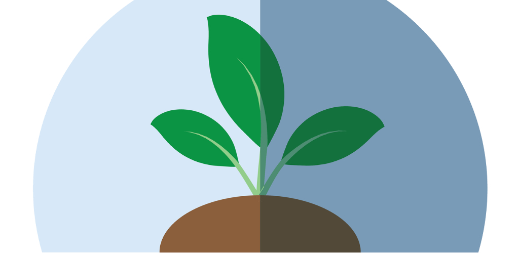 Innov Plant Protect