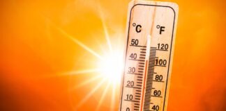 Temperaturas podem chegar aos 38 graus no Alentejo a partir de sábado Calor