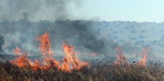 Incendio