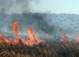 Mértola: Incêndio perto de Alcaria Ruiva mobiliza meios aéreos e mais de meia centena de operacionais Incendio