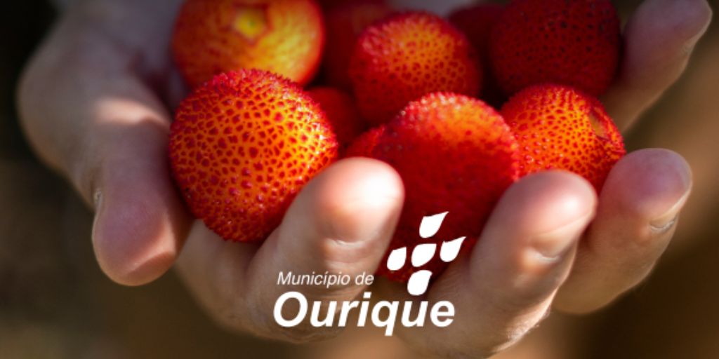 Ourique com Semana Gastronómica dedicada ao Medronho 