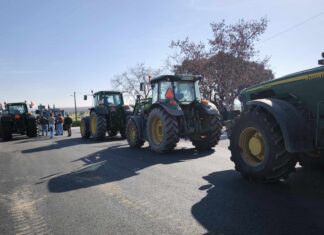 Agricultores: Manifestantes em Ficalho querem respostas de “alguém próximo” do PM Agricultura