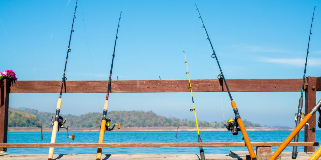 Pesca desportiva