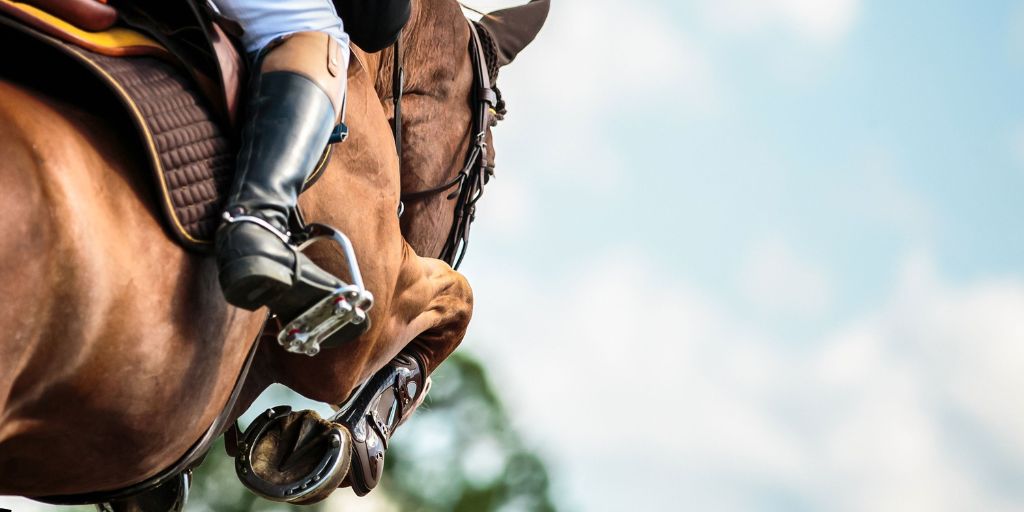 Saltos de cavalos