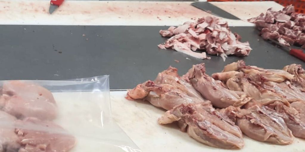 ASAE desmantela entreposto ilegal em Évora e apreende toneladas de carne imprópria para consumo
