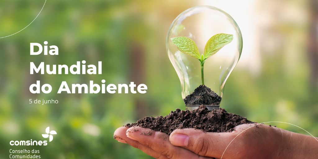 COMSINES e Associados marcam Dia Mundial do Ambiente com atividades de consciencialização