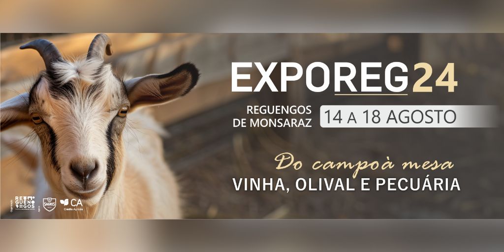Reguengos de Monsaraz: 30ª ExpoReg já tem cartaz musical
