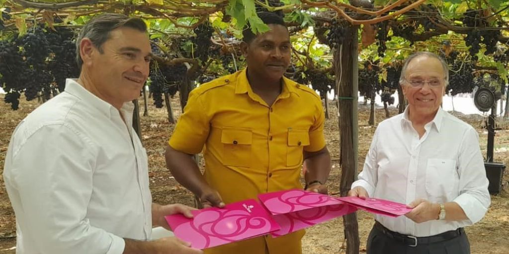 Jovens são-tomenses vão estagiar em Portugal com olhos postos na agricultura do futuro