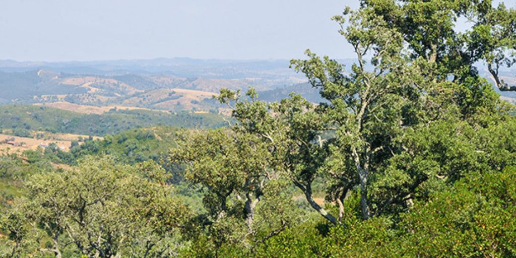 Paisagem