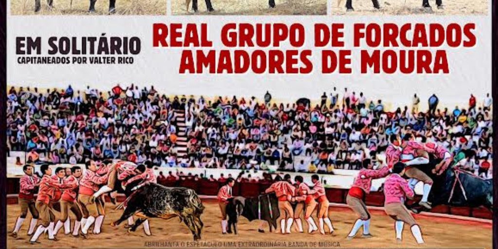 Tauromaquia: Moura com corrida de touros a 14 de setembro