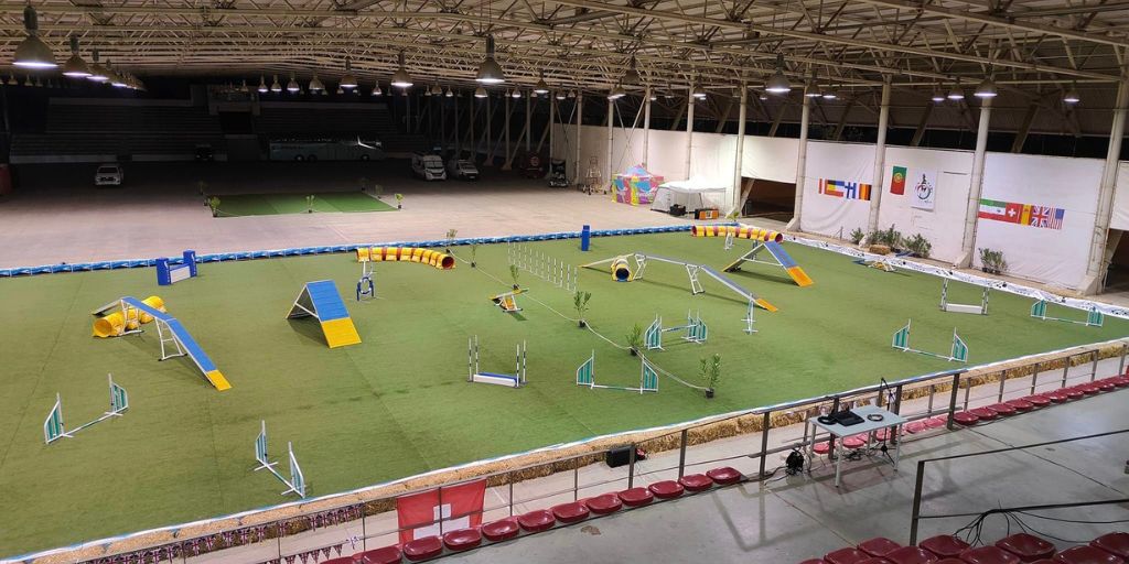 Campeonatos do mundo e internacional de Agility