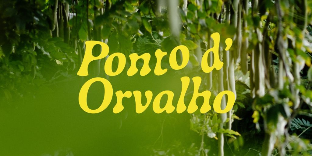Ponto de Orvalho