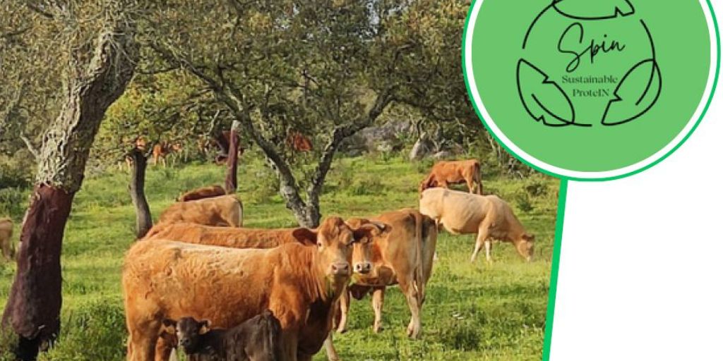 Montemor-o-Novo: Projeto SPIN promove Dia de Campo sobre Agricultura Regenerativa