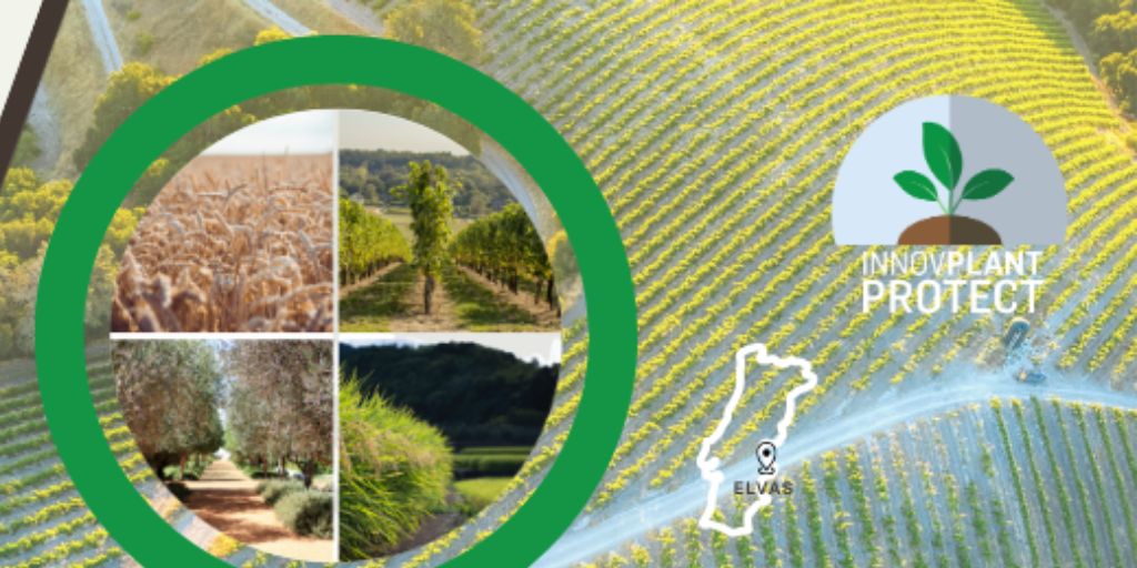 InnovPlantProtect elege novos órgãos sociais para o trénio 2025-2027
