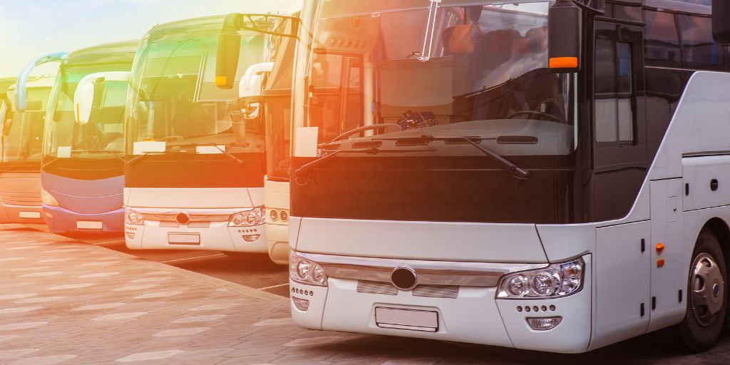 Governo investe 227M€ na renovação da frota de autocarros e beneficia municípios do Alentejo