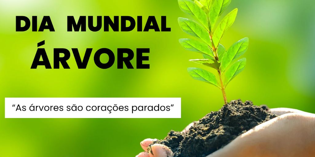 Agrupamento de Escolas de Marvão celebra Dia Mundial da Árvore com atividades educativas