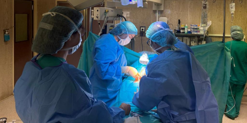 Serviço de Cirurgia da ULS do Alentejo Central promove formação em cirurgia da tiroide