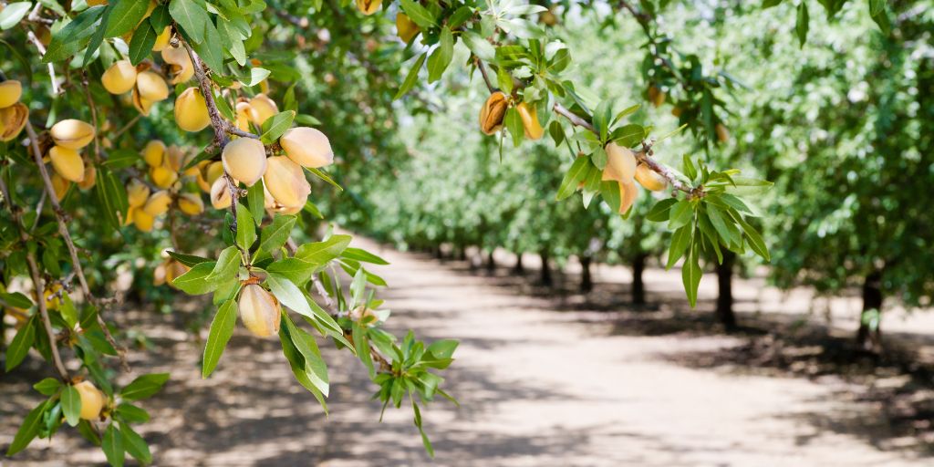 Universidade de Évora promove seminário sobre o futuro do setor agroalimentar