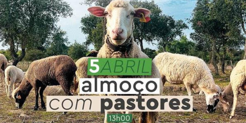 Almoço reúne 250 pastores e produtores do Campo Branco em Castro Verde