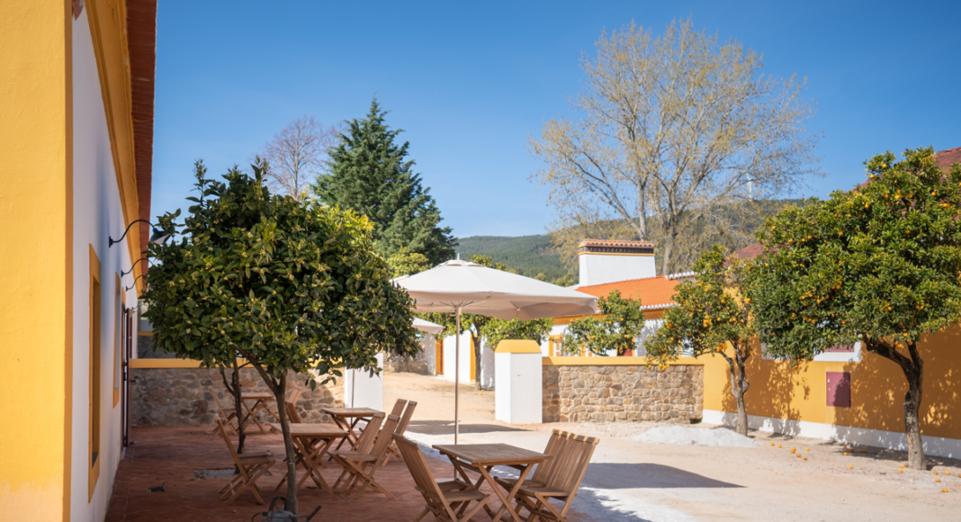 Passeios, vinho e sabores regionais: a Quinta de Fonte Souto reabre com novas experiências