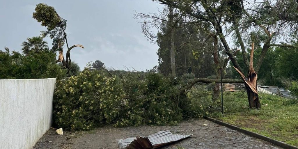 Mau tempo: Ventos fortes provocam danos em telhados e infraestruturas em Beja