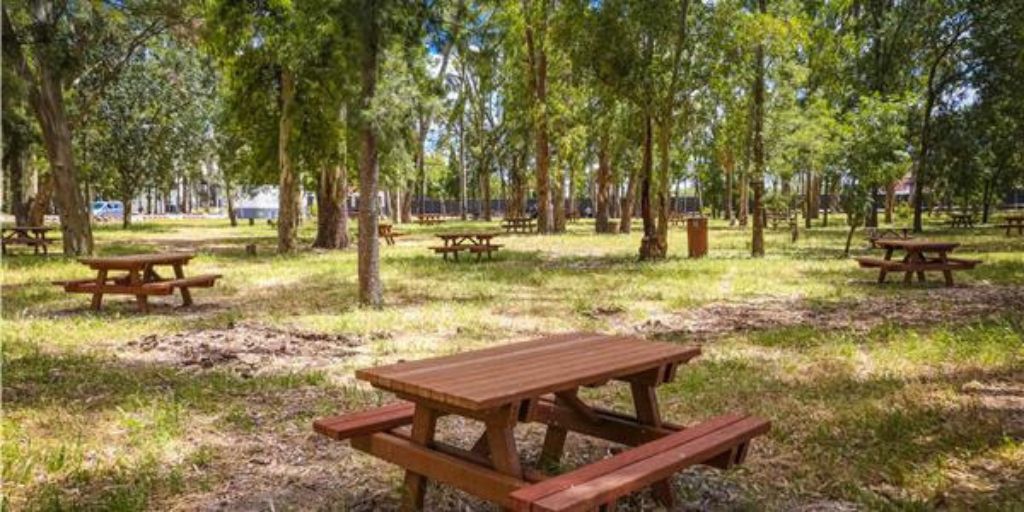 Câmara de Beja renova Parque de Merendas e reabilita estações desportivas da ciclovia