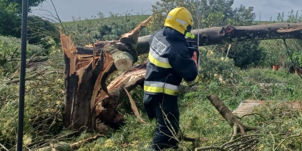 Vento forte causa danos em aldeia de Beja sem provocar feridos ou desalojados