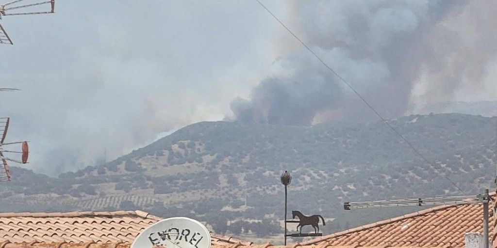 Incêndios: Mais de 180 operacionais combatem fogo na zona de Vidigueira