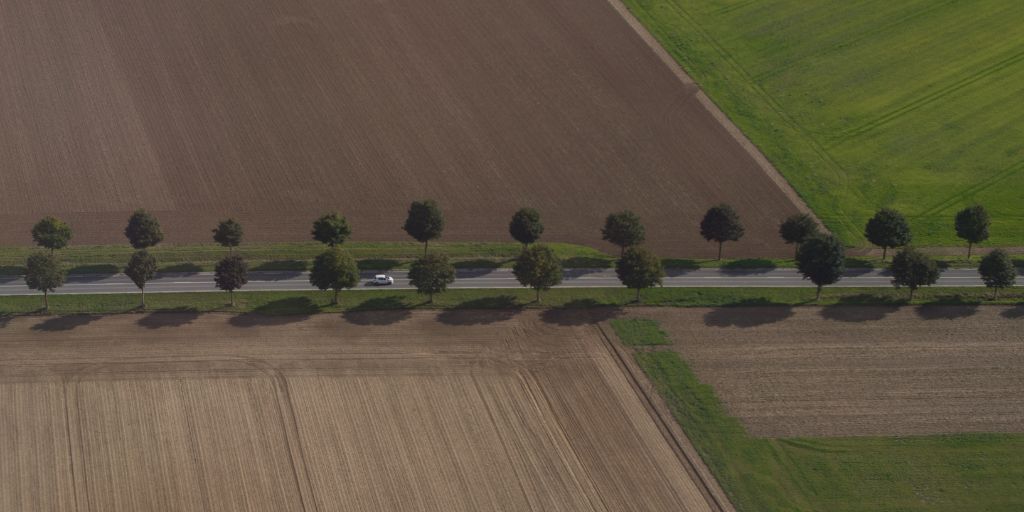 Nova Lei dos Solos reforça atratividade dos terrenos no Alentejo