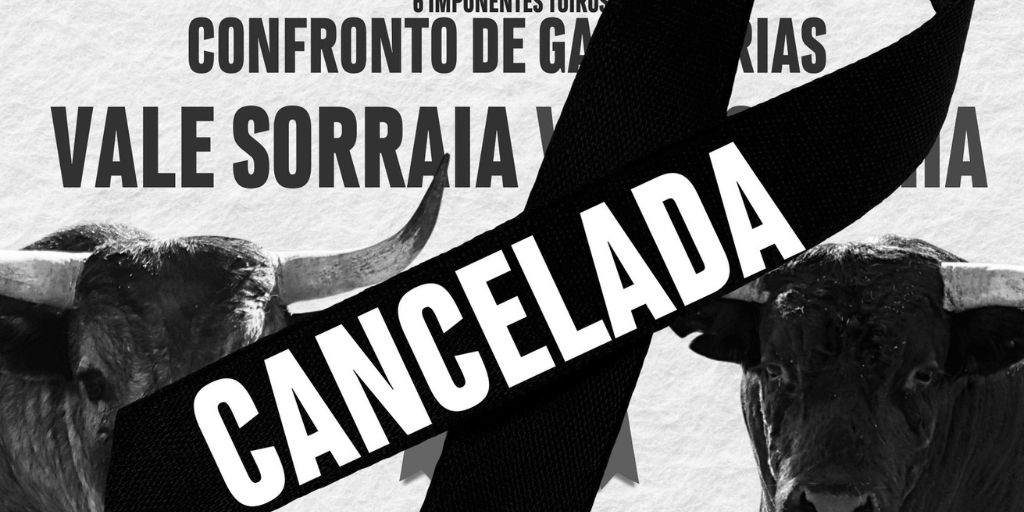 Corrida de touros de São Manços cancelada após morte de Manuel Trindade