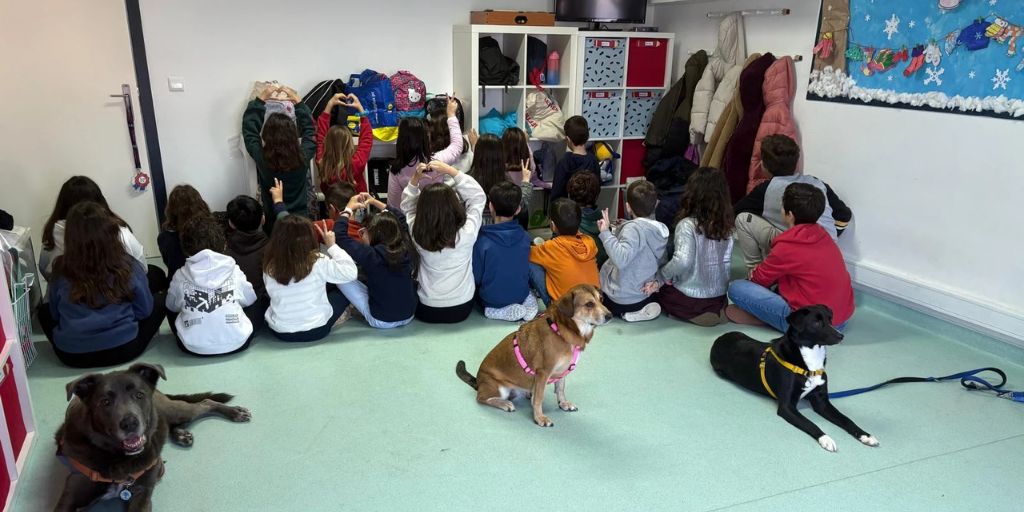 Smiledog: Cães terapeutas a transformar vidas nas escolas e comunidades