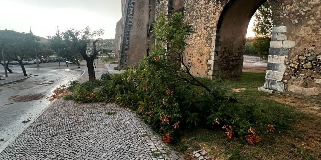 Temporal com granizo e ventos fortes provoca estragos em Elvas
