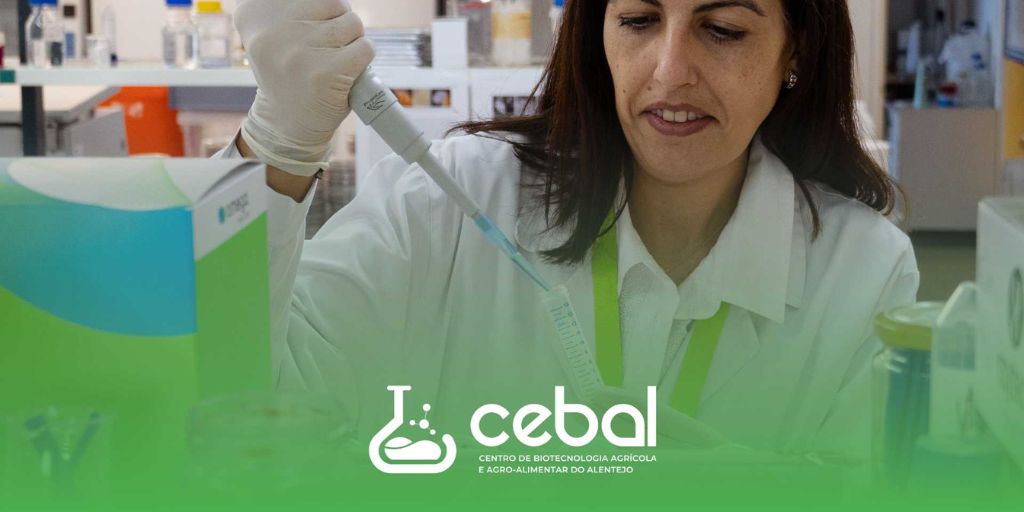 Beja: Centro de biotecnologia vai contratar oito profissionais