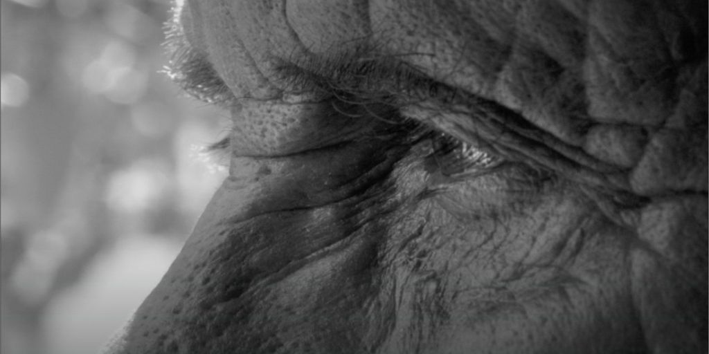 O tempo ganha rosto em Borba: descubra a nova exposição que emociona gerações