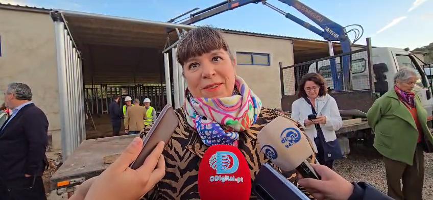 Joana Vasconcelos