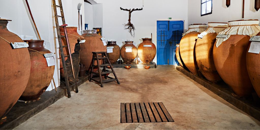 Reguengos de Monsaraz: Brinde ao São Martinho com vinho novo e petiscos na Adega das Flores