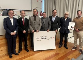 Rodolfo Queirós é o novo presidente da Associação das Rotas dos Vinhos de Portugal