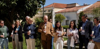 Agricultura de conservação melhora rendimento do tomate para indústria, conclui projeto TomAC