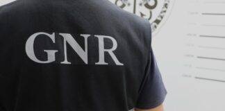 GNR recupera em Serpa peças de metal precioso furtadas avaliadas em 80 mil euros GNR