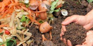 AMBILITAL lança concurso de 1,1M€ para unidade de pré-compostagem em Ermidas do Sado Compostagem